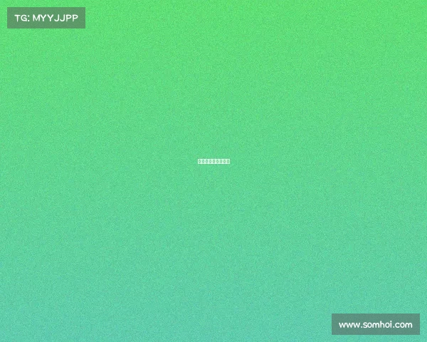 篮球赛事申请怎么写